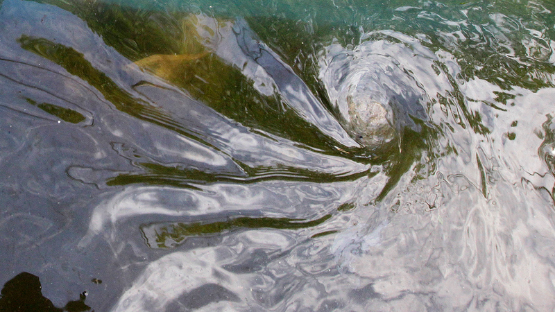 Illustration for article titled 32 Mesmerizing Photos of Vortices, From Soap Bubbles to Spiral Galaxies